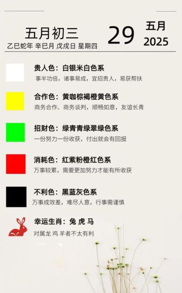 属鼠的人今年运势怎么样_2024年鼠属相事业财运全解析