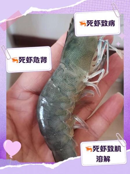 梦到虾死了是什么意思_梦见虾死了预示什么