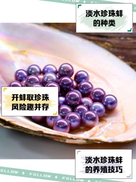 孕妇梦到珍珠蚌是什么意思_珍珠蚌胎梦预示什么