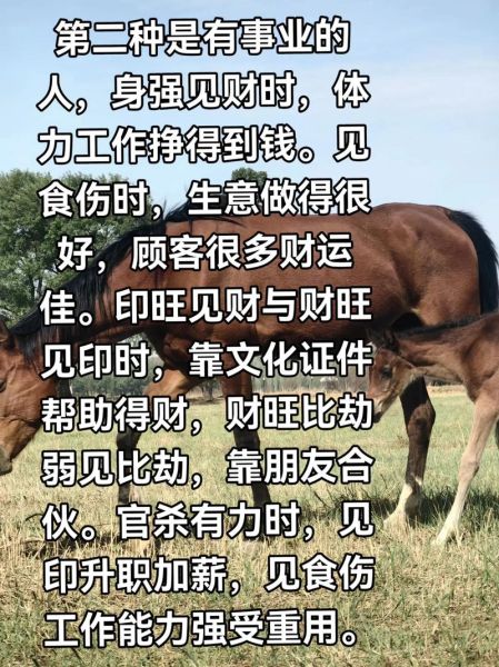 数字看情感财运_如何通过数字提升爱情与财富