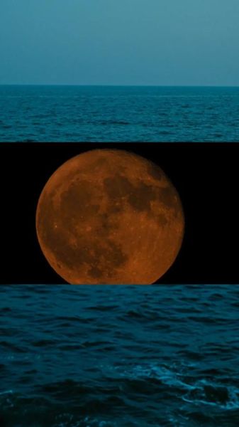 梦到血月是什么意思_血月梦境预示什么