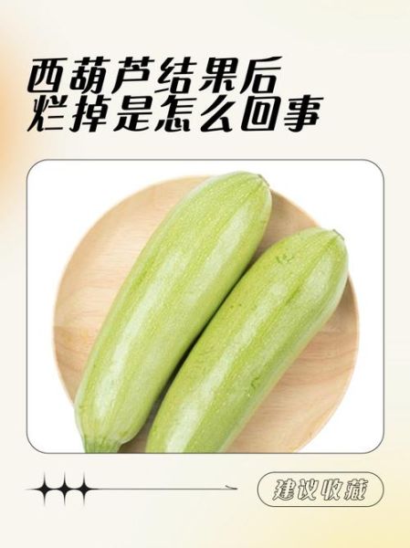 孕妇梦到西葫芦是什么意思_孕妇梦见西葫芦生男生女