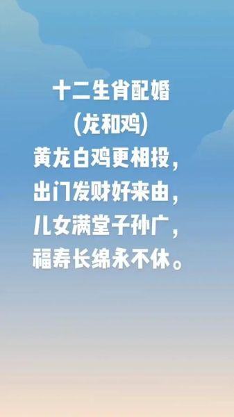 属龙和属鸡合得来吗_龙鸡配对婚姻好吗