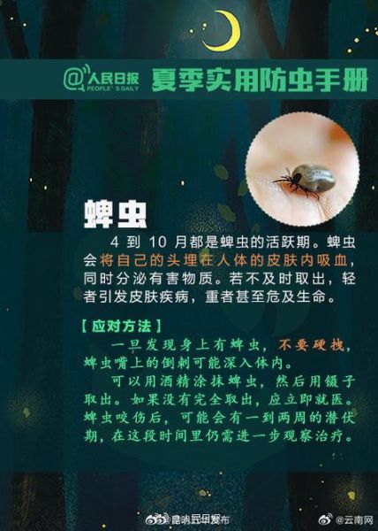 梦到虫子在身上爬_是什么意思