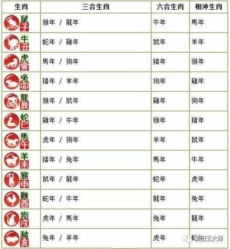 属猪的和什么属相相害_属猪相害属相有哪些