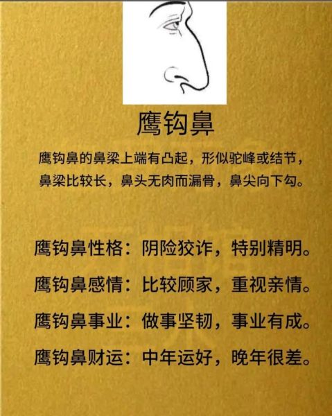 男人鹰勾鼻财运_鹰钩鼻男人财运好吗