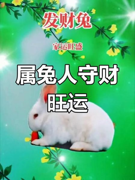 2018年属兔运势如何_2018属兔财运怎么样