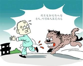 妈妈梦到狗是什么意思_梦见狗咬人预示什么