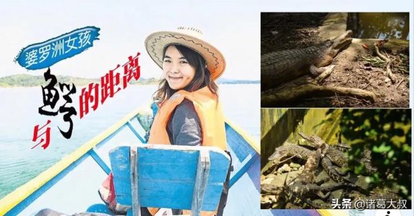 梦到鄂鱼是什么意思_梦见鄂鱼咬人怎么办