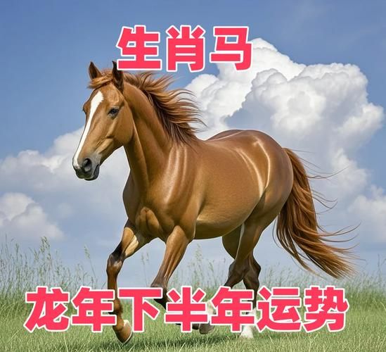 2024属马运势详解_犯太岁如何化解