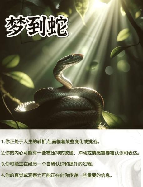 梦到好多蛇在自己身上_是什么预兆