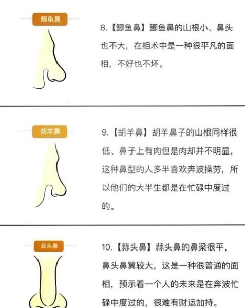 看鼻子能看出财运吗_鼻子与财富的关系