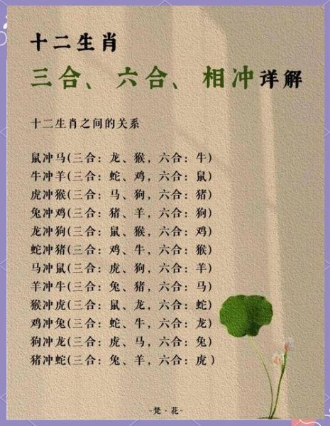 马属相和鼠合不合_马鼠相冲怎么化解