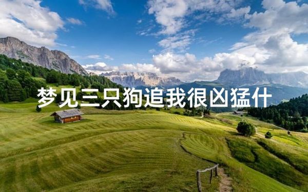梦到被三只狗咬_预示什么