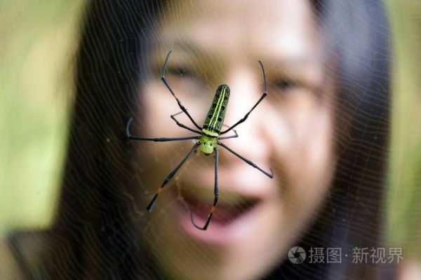 梦到大黑蜘蛛是什么意思_如何化解噩梦