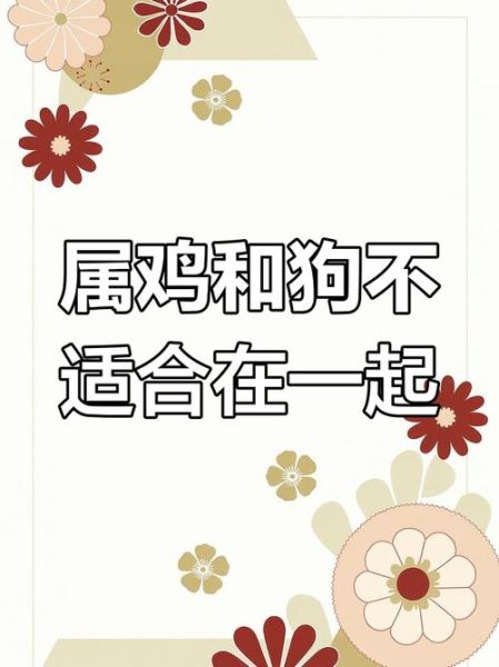 属鸡和属狗的婚姻怎么样_鸡狗相冲如何化解