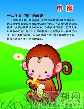 80年属相是什么_1980年属猴运势如何