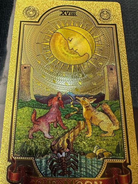 月亮牌财运_塔罗占卜准吗