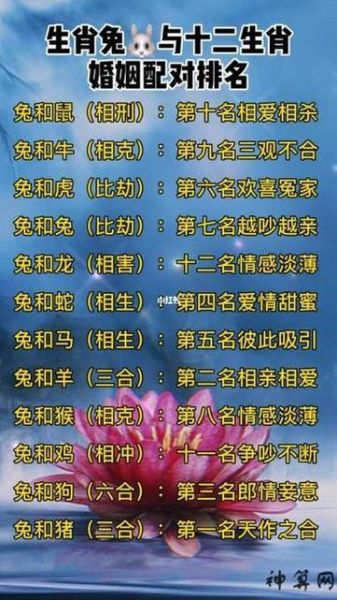 属兔和什么属相最合_属兔婚配最佳属相