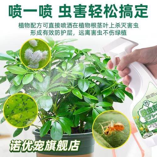 梦到脚长虫是什么意思_如何化解