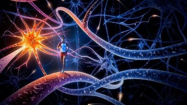 梦到战斗是什么意思_如何化解梦中战斗的焦虑