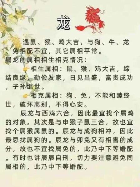 属相最不合的夫妻组合_哪些生肖配对最克对方