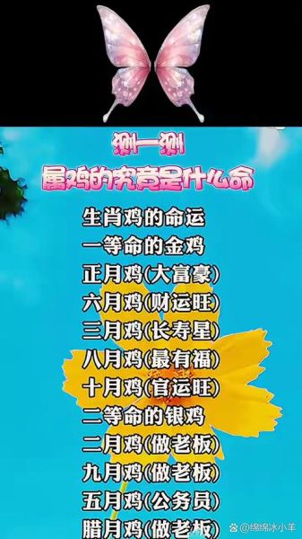 属鸡本周财运如何_属鸡本周财运提升方法