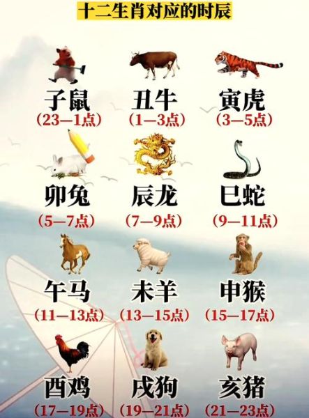 属相怎么分_属相是按什么标准划分的