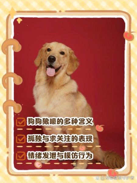 梦到和狗玩是什么意思_梦到和狗玩代表什么