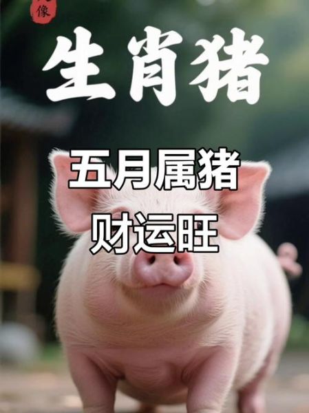 属猪9月运势如何_属猪人九月财运怎么样