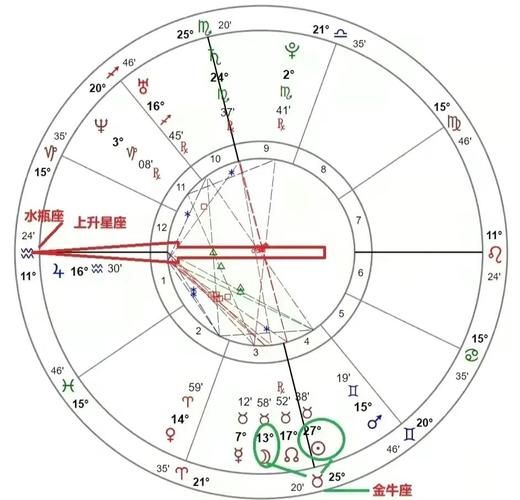 上升星座运势查询器怎么用_上升星座运势查询器准吗