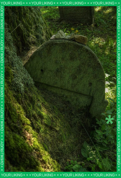 梦到掘墓是什么意思_梦见挖坟的预兆