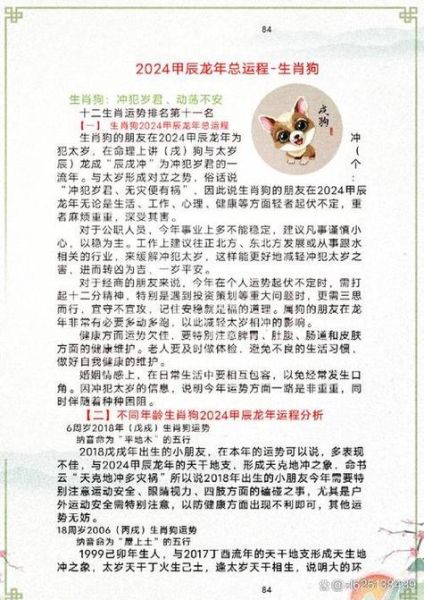 82年出生今年财运如何_82年属狗2024年财运走势