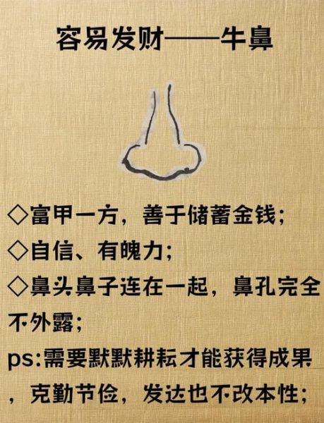 侧面能看到鼻孔财运_面相漏财还是聚财