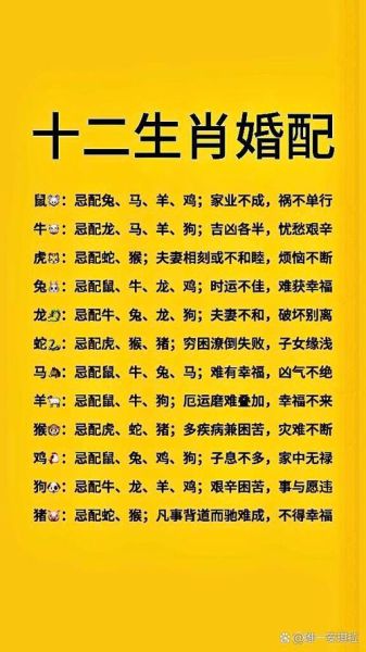 属鼠和属羊姐妹合不合_性格互补还是相冲