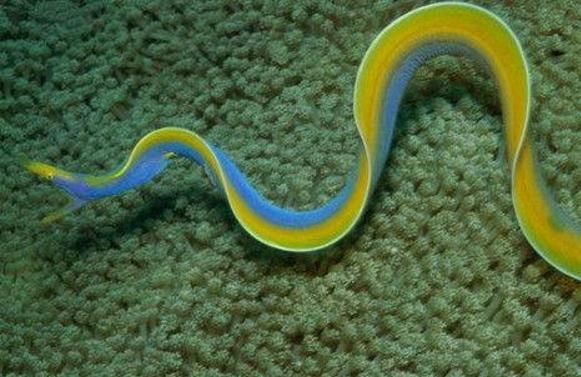 梦到产地是什么意思_梦到产地预示什么