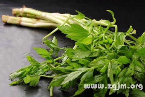 梦到芹菜是什么意思_梦见芹菜的预兆