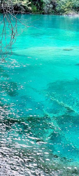 梦到清澈的湖水_是什么意思