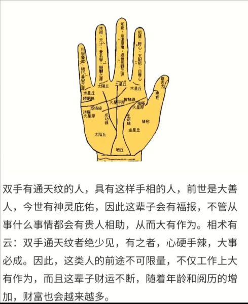 男人左手财运线在哪_财运线怎么看图解