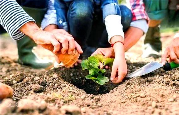 梦到在地里干活是什么意思_梦见种地代表什么