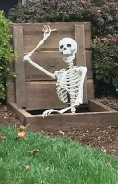 梦到骷髅骨是什么意思_梦见骷髅骨预示什么