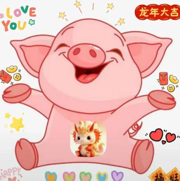 属龙生猪宝宝好吗_龙年生猪宝宝运势