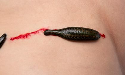 梦到蚂蝗吸血_意味着什么