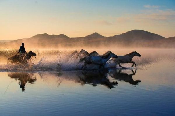 梦到在水里跑是什么意思_梦见在水里奔跑的预兆