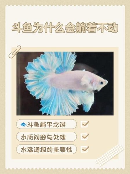 梦到斗鱼是什么意思_斗鱼在梦里代表什么