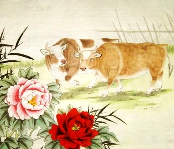 牛和鸡财运_牛鸡合财还是相冲