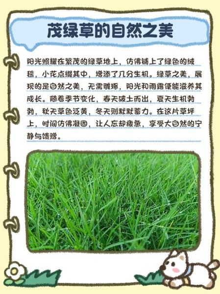 梦到很多草是什么意思_梦见草地茂盛预示什么