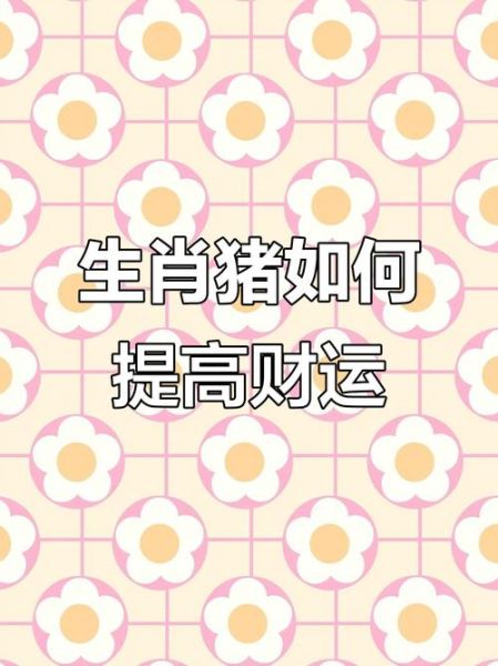 属猪人七月财运如何_属猪人七月如何提升财运