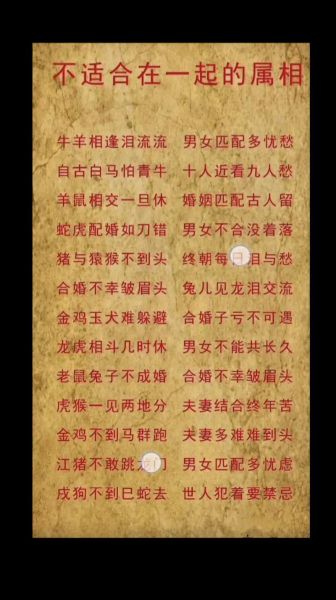 龙虎父子相冲怎么办_龙爸虎子如何化解