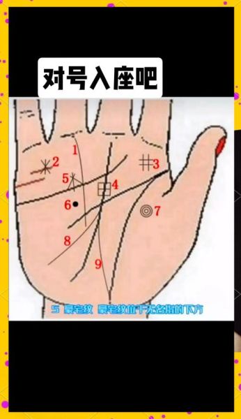 女人偏财运手相怎么看_手相财运线在哪